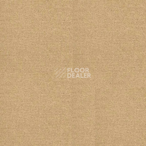 Ковролин Radici Abetone Straw 4978 фото 1 | FLOORDEALER